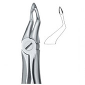 Tooth Ext Forceps